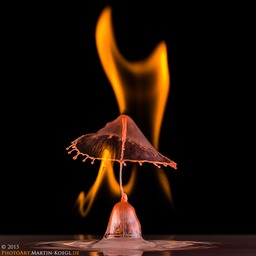 20150830-IMG_8121_1000px